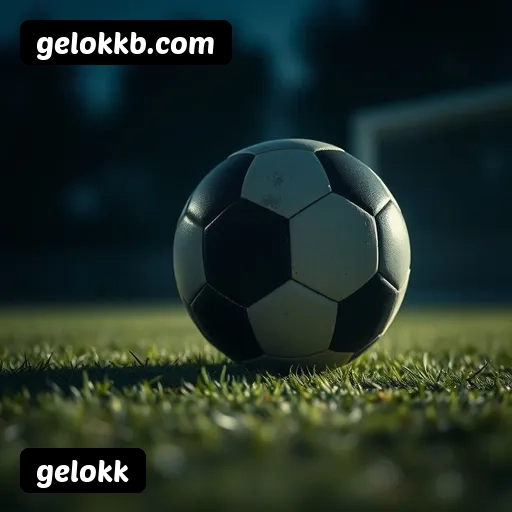 6 vantagens exclusivas do programa VIP da gelokk